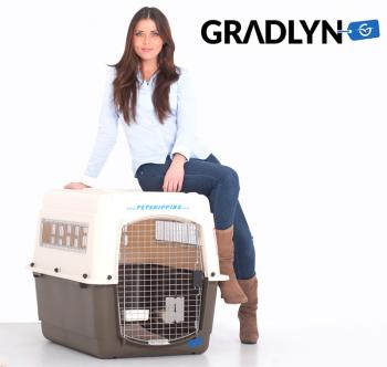 vari kennel 100 dimensions